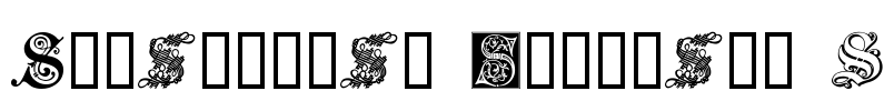Ornamental Initials S Font Image