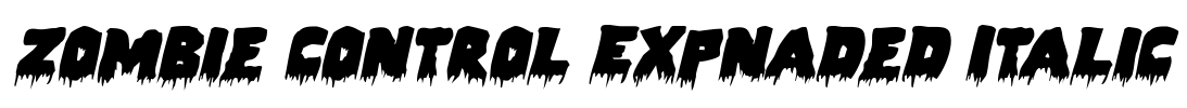 Zombie Control Expnaded Italic Font Image