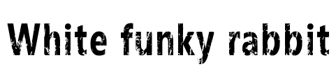 White funky rabbit