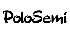PoloSemi Font Image