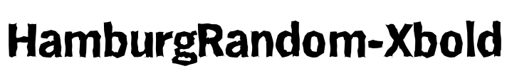 HamburgRandom-Xbold Font Image