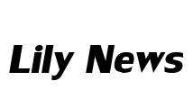 Lily News