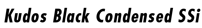 Kudos Black Condensed SSi Font Image