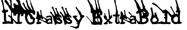 LTGrassy ExtraBold