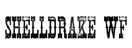 Shelldrake WF Font Image