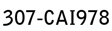 307-CAI978