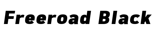 Freeroad Black