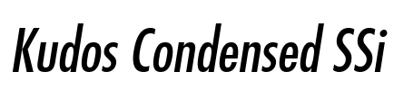 Kudos Condensed SSi