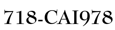 718-CAI978