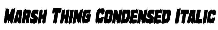 Marsh Thing Condensed Italic Font Image