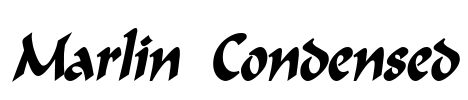 Marlin Condensed Font Image