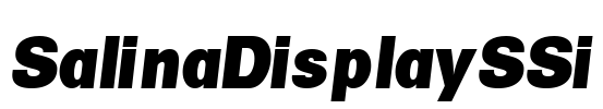SalinaDisplaySSi