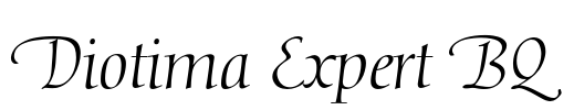 Diotima Expert BQ