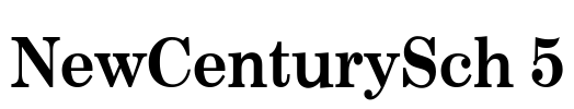 NewCenturySch 5