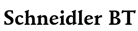 Schneidler BT Font Image