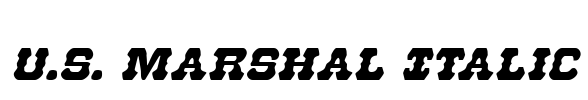 U.S. Marshal Italic Font Image
