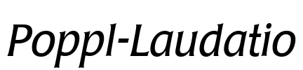 Poppl-Laudatio