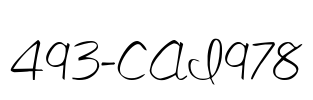 493-CAI978