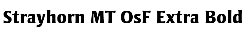 Strayhorn MT OsF Extra Bold Font Image