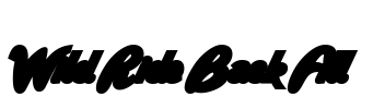 Wild Ride Back Fill Font Image