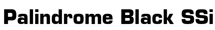 Palindrome Black SSi