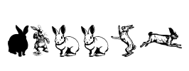 Rabbit Font Image