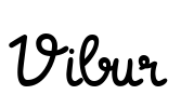 Vibur