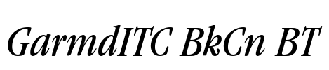 GarmdITC BkCn BT