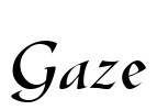 Gaze