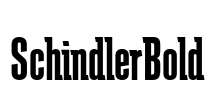SchindlerBold