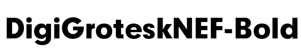 DigiGroteskNEF-Bold Font Image