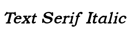 Text Serif Italic