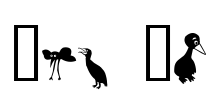 Birds