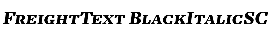 FreightText BlackItalicSC