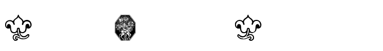 WieynkFrakturVignetten Font Image