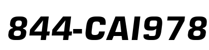 844-CAI978
