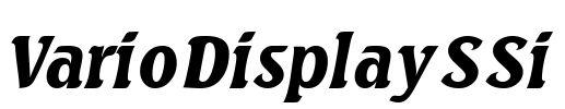 VarioDisplaySSi