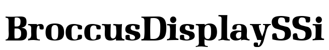 BroccusDisplaySSi Font Image