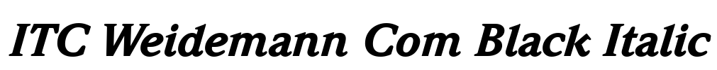 ITC Weidemann Com Black Italic Font Image