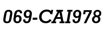 069-CAI978 Font Image