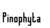 Pinophyta