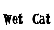 Wet Cat Font Image