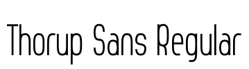 Thorup Sans Regular Font Image