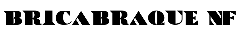 BricaBraque NF