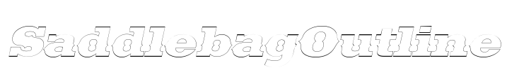 SaddlebagOutline