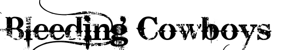 Bleeding Cowboys Font Image