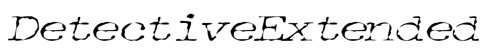 DetectiveExtended