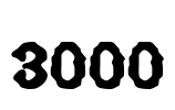 3000