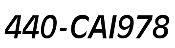 440-CAI978