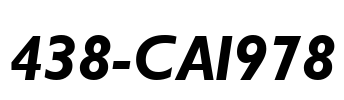 438-CAI978